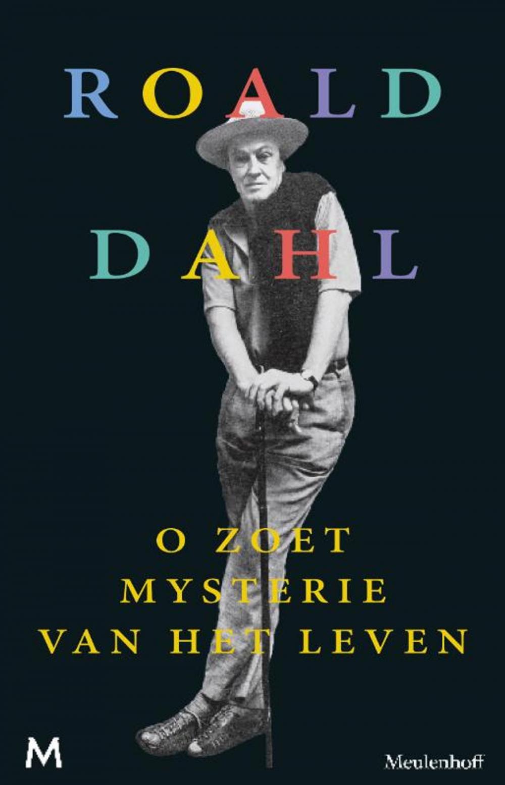 Big bigCover of O zoet mysterie van het leven