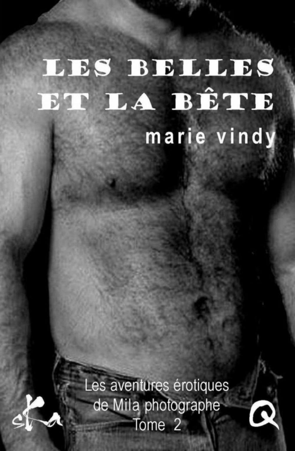 Big bigCover of Les belles et la bête