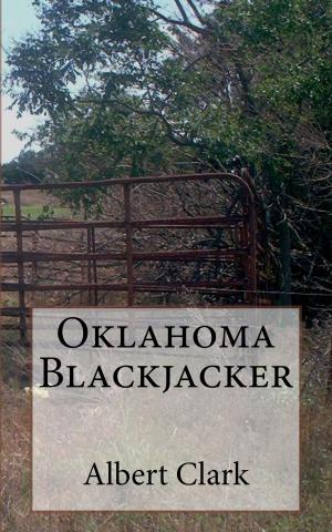 Cover of the book Oklahoma Blackjacker by Johanna Schopenhauer, LM Thaler (Translator)
