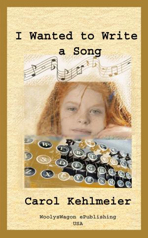 Cover of the book I Wanted to Write a Song by Lila Maddock