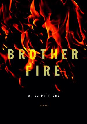 Book cover of Brother Fire