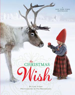 Cover of the book The Christmas Wish by Michael Harmon