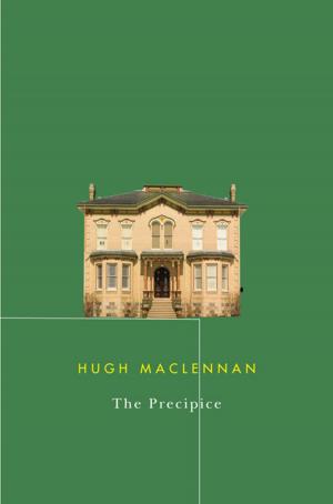 Cover of the book The Precipice by Gregory Baum