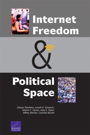 Cover of the book Internet Freedom and Political Space by Patrice Delchambre