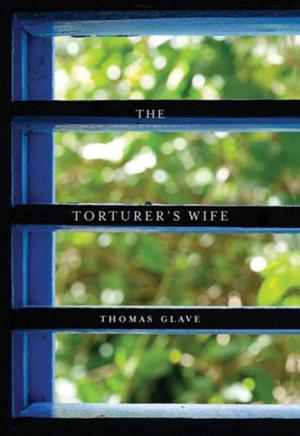 Cover of the book The Torturer's Wife by D. Reed Whittaker