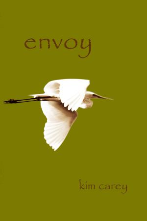 Book cover of Envoy