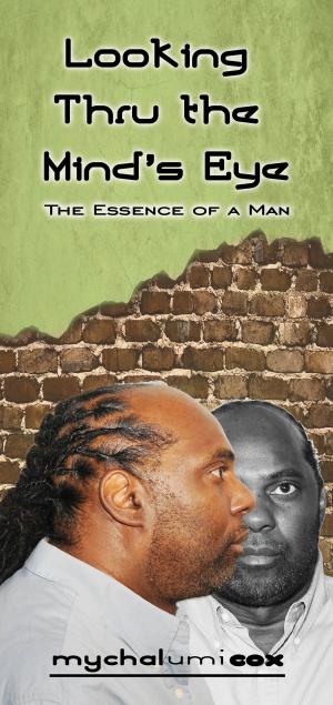 Cover of the book Looking Thru the Mind's Eye by Gary Williams