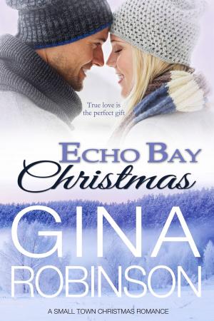 Cover of the book Echo Bay Christmas by Kayla Perrin