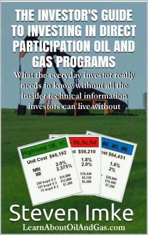 Cover of the book The Investor's Guide to Investing in Direct Participation Oil and Gas Programs by Michael Glass
