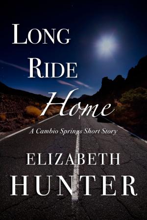 Cover of the book Long Ride Home: A Cambio Springs Short Story by Erin Osborne