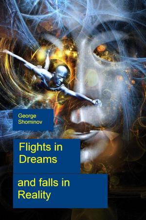 Cover of the book Flights in Dreams and falls in Reality by Matthew Murdock & Treion Muller