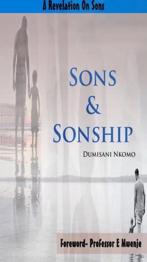 bigCover of the book Sons & Sonship- A Revelation On Sons by 