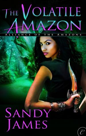 Cover of the book The Volatile Amazon by Sheryl Nantus