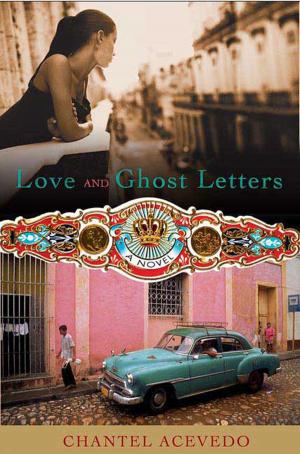 Cover of the book Love and Ghost Letters by Daniel Friedman