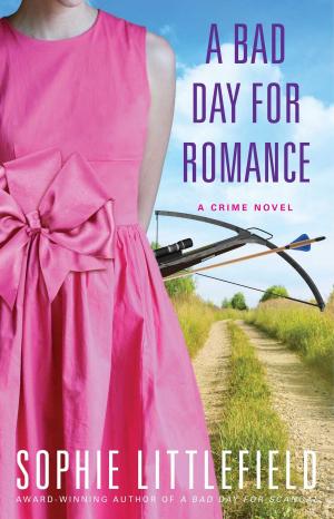 Cover of the book A Bad Day for Romance by Julia Kelly