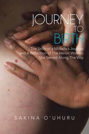 Book cover of Journey to Birth