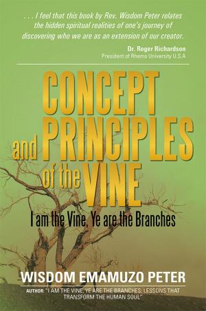 Cover of the book Concept and Principles of the Vine by Donald J. Young