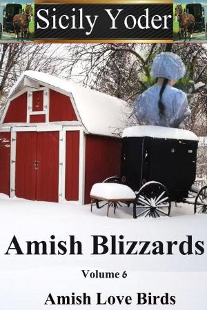 Cover of the book Amish Blizzards: Volume Six: Amish Love Birds by DB Daglish