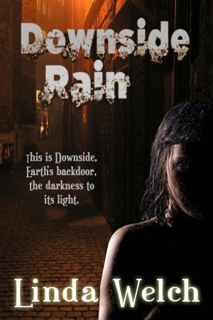 bigCover of the book Downside Rain by 