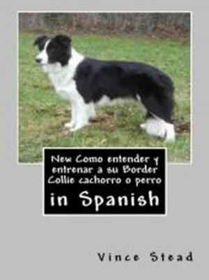 Cover of the book New Como entender y entrenar a su Border Collie cachorro o perro by Tristan Pulsifer, Jacquelyn Elnor Johnson