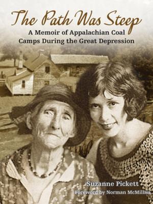 Cover of the book The Path Was Steep by S. McEachin Otts