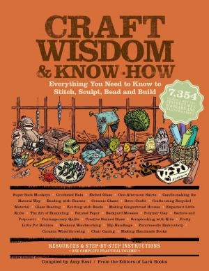 Cover of the book Craft Wisdom & Know-How by Daniel Lerner