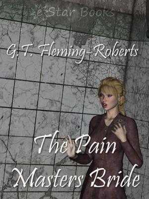 Cover of the book Pain Masters Brideq by Robin Kobayashi