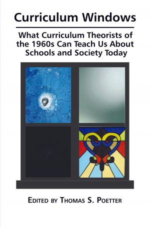 Cover of the book Curriculum Windows by KM Zafari