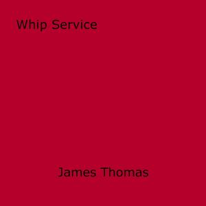 Cover of the book Whip Service by Christie St Claire