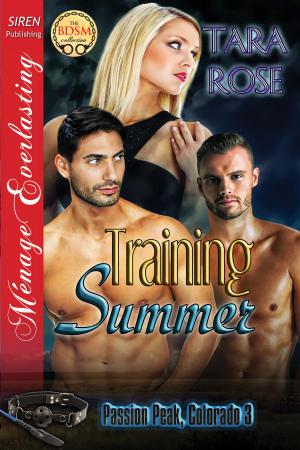 Cover of the book Training Summer by Christine Shaw