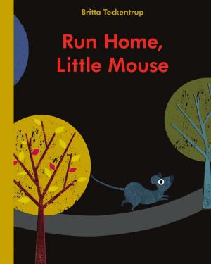 Cover of the book Run Home, Little Mouse by Aubrey Davis