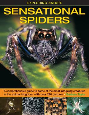 Cover of the book Sensational Spiders by S C Hamill