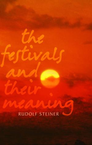 Cover of the book The Festivals and Their Meaning by Rudolf Steiner
