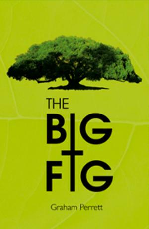 Cover of the book The Big Fig by Ivan Rudolph