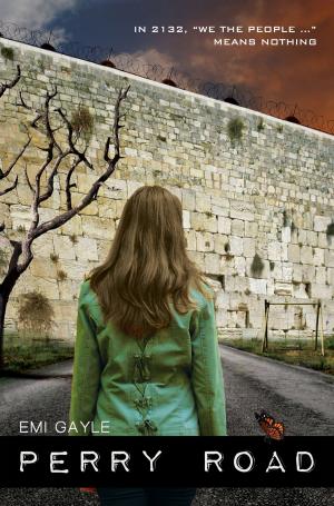 Cover of the book Perry Road by Sam Cantrell