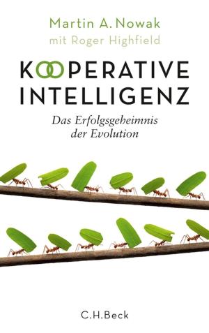 Book cover of Kooperative Intelligenz