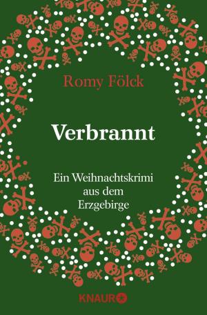 Cover of the book Verbrannt by Sandra Lessmann