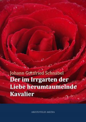 Cover of the book Der im Irrgarten der Liebe herumtaumelnde Kavalier by Pietro Fortini