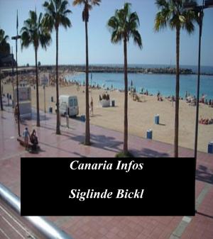 Cover of the book Gran Canaria Infos by Anton Galla