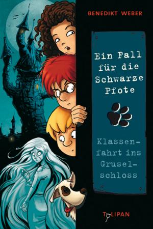 Cover of the book Ein Fall für die Schwarze Pfote: Klassenfahrt ins Gruselschloss by Andreas Schlüter, Markus Spang