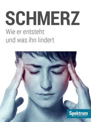 Cover of the book Schmerz by Spektrum der Wissenschaft, Hans-Joachim Schlichting