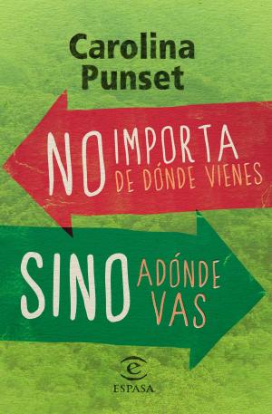 Cover of the book No importa de dónde vienes, sino adónde vas by Teresa Cameselle