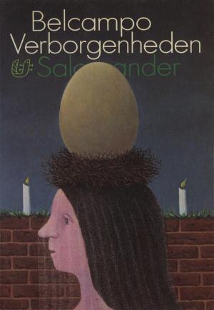 Cover of the book Verborgenheden by Pieter Waterdrinker