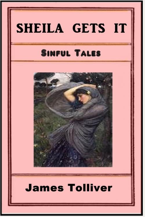 Cover of the book Shelia Gets It by James Tolliver, Sinful Tales