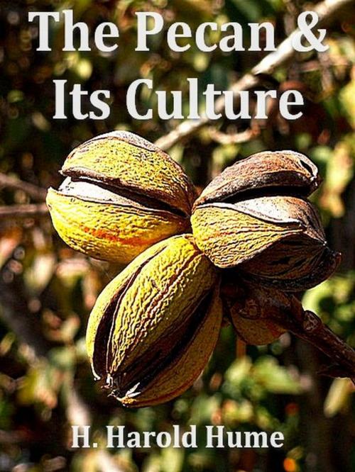 Cover of the book The Pecan and its Culture by H. Harold Hume, VolumesOfValue