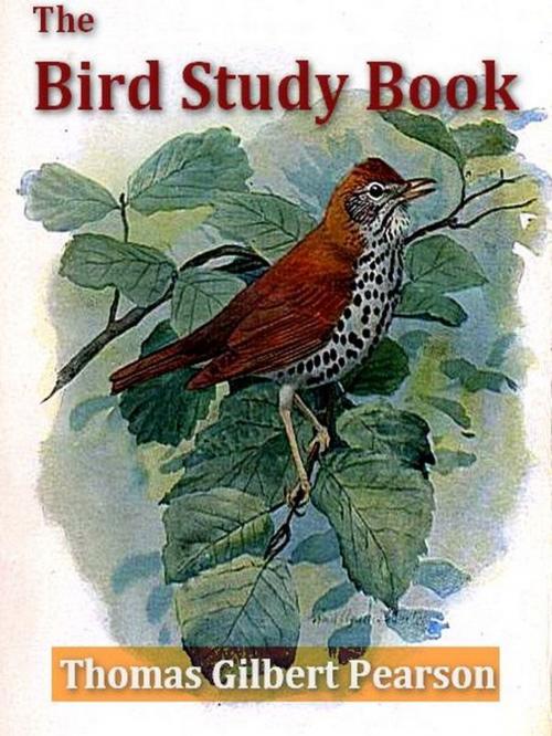 Cover of the book The Bird Study Book by Thomas Gilbert Pearson, Will Simmons, Illustrator, VolumesOfValue