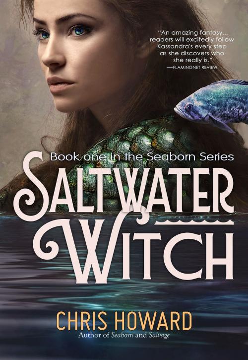 Cover of the book Saltwater Witch by Chris Howard, Lykeion Books