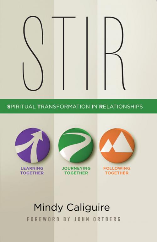 Cover of the book STIR by Mindy Caliguire, Zondervan