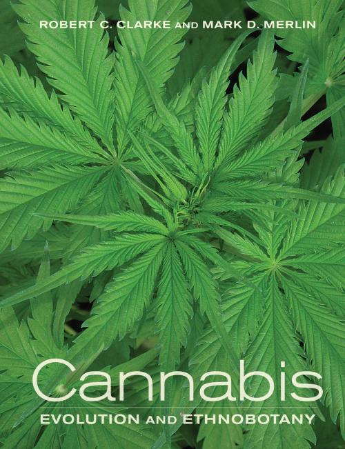 Cover of the book Cannabis by Robert Clarke, Mark Merlin, University of California Press