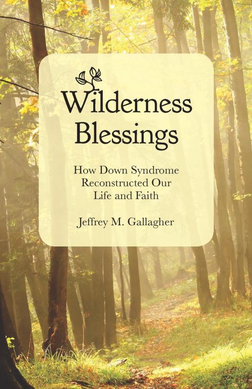 Cover of the book Wilderness Blessings by Jeffrey M. Gallagher, Chalice Press-Christian Board